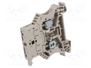Splice terminal: rail; 6mm2; ways: 1; terminals: 2; beige; wemid