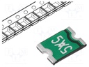 Fuse: PTC polymer; 500mA