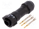 Connector: circular; male; plug; crimped; PIN: 3; 18AWG÷16AWG; IP68