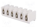 Terminal block; screw terminal; ways: 6; 10mm2; terminals: 12; 750V