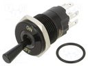 Switch: toggle; Pos: 2; SPDT; ON-ON; 5A/250VAC; -40÷85°C; IP67; brass
