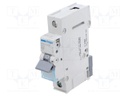 Circuit breaker; 230/400VAC; Inom: 40A; Poles: 1; DIN; Charact: B