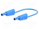 Test lead; 19A; 4mm banana plug-4mm banana plug; Urated: 1kV