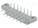 Plug; DIN 41617; male; PIN: 13; THT; angled 90°; Contacts ph: 2.5mm