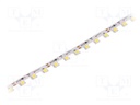 LED tape; white cold; LED/m: 60; SMD; 5050; 12V; W: 13mm; angular