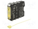 Module: safety relay