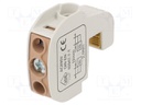 Splice terminal: rail; 16mm2; ways: 1; terminals: 2; brown; 690V