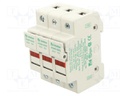 Fuse holder; cylindrical fuses; 10.3x38mm; DIN; 30A; 600V; Poles: 3