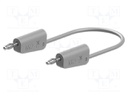 Test lead; 32A; 4mm banana plug-4mm banana plug; Urated: 30V