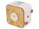 Fuse: fuse; ultra rapid; 1.25kA; 690VAC; 600VDC; 73,5x73,5x52mm