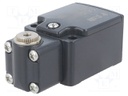 Limit switch