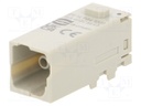 Connector: HDC; module; male; Han Modular Domino; PIN: 4; Modules: 1