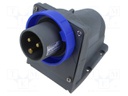 Connector: AC supply 3-phase; socket; male; angled; IP67; 16A