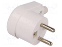Connector: AC supply; plug; Layout: 2P+PE; white; 250VAC; 16A; PIN: 3