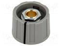 Knob; with pointer; ABS; Shaft d: 6mm; Ø23x15.5mm; grey