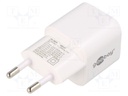 Power supply: switched-mode; plug; 65W; Plug: EU; Usup: 110÷240VAC