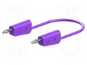 Test lead; 32A; 4mm banana plug-4mm banana plug; Urated: 30V