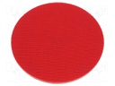 Backing pad; 125mm; Mounting: M14,rod 8mm