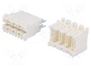 Connector: card edge; RAST 5; plug; female; angled 90°,straight