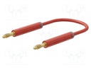 Test lead; 60VDC; 30VAC; 19A; banana plug 4mm,both sides; Len: 2m
