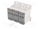 Splice terminal: distribution block; DBL; ways: 3; terminals: 24