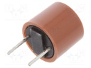 Fuse: fuse; time-lag; 2.5A; 250VAC; TR5; Pitch: 5.08mm; 887.100