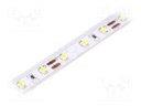 LED tape; white cold; LED/m: 60; SMD; 2835; 12V; W: 10mm; 120°; D: 2mm