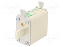 Fuse: fuse; aM; 125A; 690VAC; ceramic,industrial; NH00; WT-NH