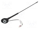 Antenna; car top; 0.4m; AM,FM; 0.2m; Rod inclination: constant