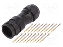 Connector: circular; male; plug; crimped; PIN: 18; 22AWG÷20AWG; IP68