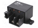 Relay: electromagnetic; SPST-NO DM; Ucoil: 24VDC; 130A; Rcoil: 141Ω