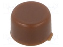 Cap; none; Man.series: APE; Body: brown