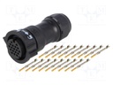 Connector: circular; female; plug; crimped; PIN: 18; 22AWG÷20AWG