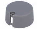 Knob; with pointer; plastic; Shaft d: 6mm; Ø31x16mm; grey; push-in