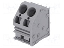PCB terminal block; angled; 10mm; ways: 2; on PCBs; 0.2÷16mm2; 66A