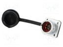Socket; male; SF12; PIN: 4; IP67; 5A; soldering; 200V; 0.75mm2
