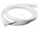 NEON LED tape; RGB; 5050; 24V; LED/m: 60; 12mm; IP65; 12W/m; Thk: 22mm