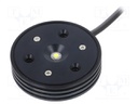 Module: LED; Colour: white cold; 5700(typ)K; 342(typ)lm; IP54; 120°