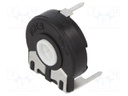 Potentiometer: mounting; single turn,horizontal; 100kΩ; 250mW