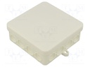Enclosure: junction box; X: 100mm; Y: 100mm; Z: 40mm; polyetylene