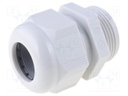 Cable gland; NPT1/2"; IP68; Mat: polyamide; grey