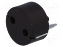 Fuse holder; miniature fuses; Mounting: THT; TE5,TR5; 6.3A; 250V
