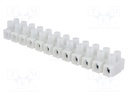 Terminal block; screw terminal; ways: 12; 4mm2; terminals: 24; 450V