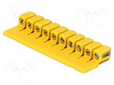 Screw bridge; Application: WDU2.5; ways: 10