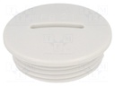 Stopper; PG21; IP54; Mat: polyamide; black; Man.series: V-N-FS