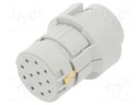M2312 Female -C+PE