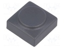 Button; rectangular; Application: 6425.0101,6425.1101; Mat: PA