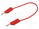 Test lead; 60VDC; 30VAC; 32A; Len: 250mm; black; Material: brass