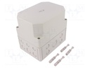 Enclosure: multipurpose; X: 130mm; Y: 180mm; Z: 165mm; TK PS; grey