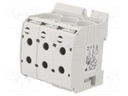Splice terminal: rail; STB; 95mm2; ways: 1; terminals: 6; grey; TS35